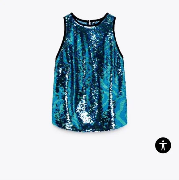 NWTs zara sequin skirt and top set